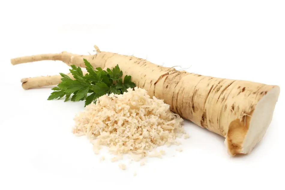 Photo of horseradish root next to a sprig of green leaves and a ground mound of horseradish on a white backdrop