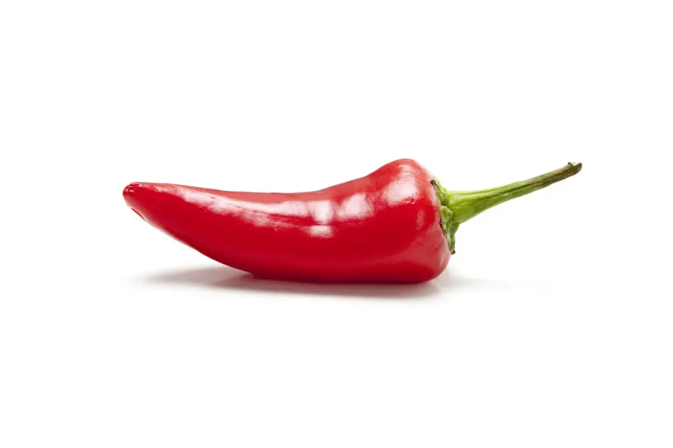 Photo of a red ripe Fresno chili pepper against a white backdrop