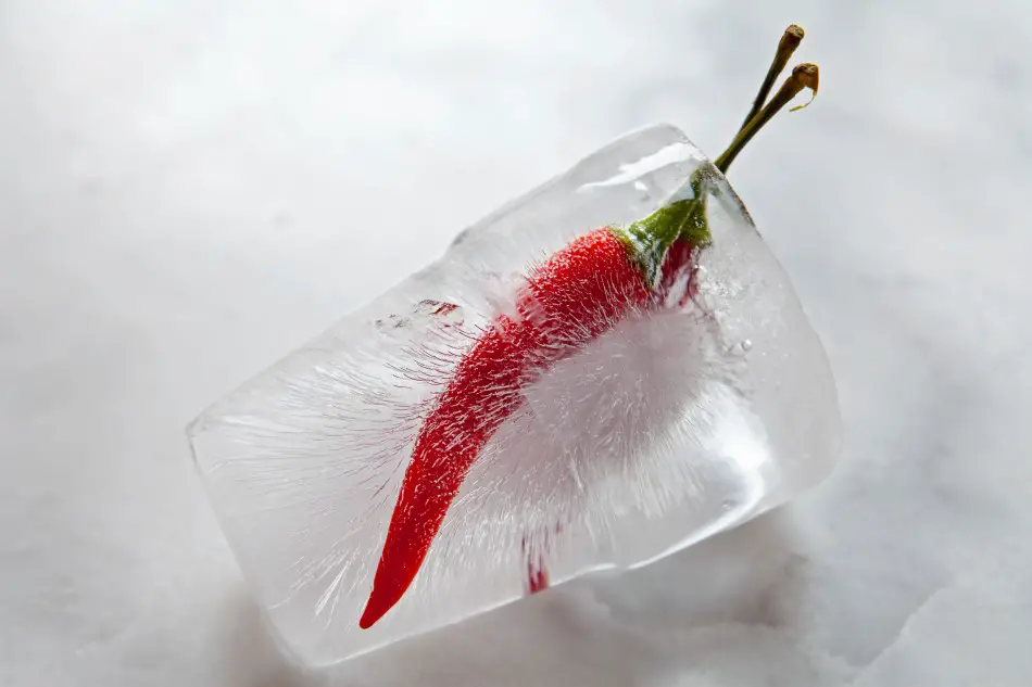 Red chili pepper frozen in a block of clear ice against a gray backdrop