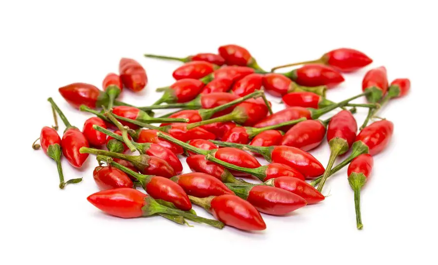 Photo of a bunch of piri piri peppers on a white backdrop