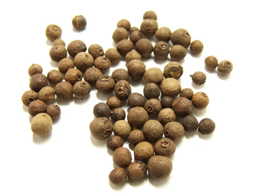 Whole Allspice berries scattered about a white background