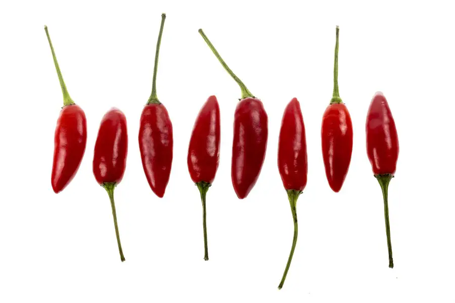 Photo of small red Thai chili peppers placed in a row facing alternative directions against a white background