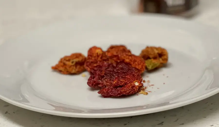 Dehydrated Carolina Reaper peppers on a white plate