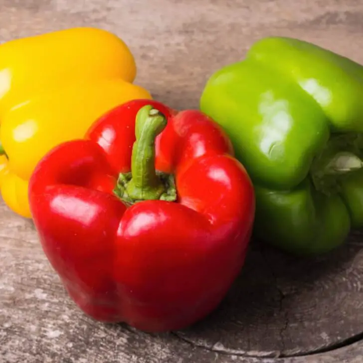 Bell Pepper Guide Origin, Colors, Varieties, and More The Spicy Trio