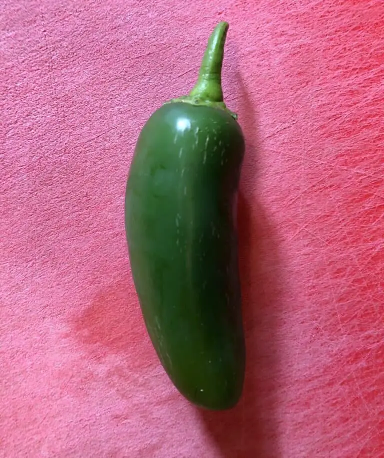 When and How to Harvest Jalapeños The Spicy Trio