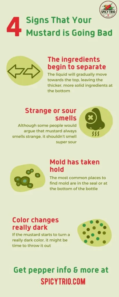 Infographic created by Spicy Trio highlighting 4 ways to detect if your mustard is starting to spoil
