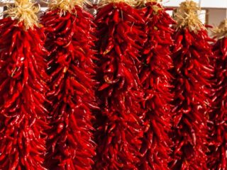 Photo of thousands of red chili peppers strung in a ristra