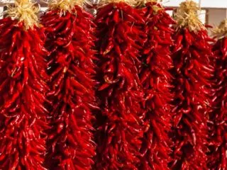 Photo of thousands of red chili peppers strung in a ristra