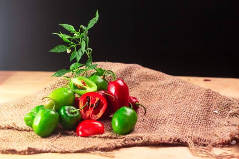 Why do Peppers Change Colors? 12 Fascinating Facts The Spicy Trio