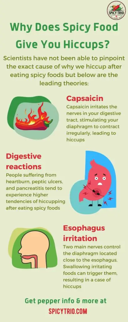 Infographic created by Spicy Trio highlighting what causes hiccups after eating spicy food