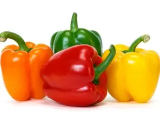 Photo of four bell peppers standing next to each other. The four bell peppers are each a different color: Red, Orange, Green, and Yellow