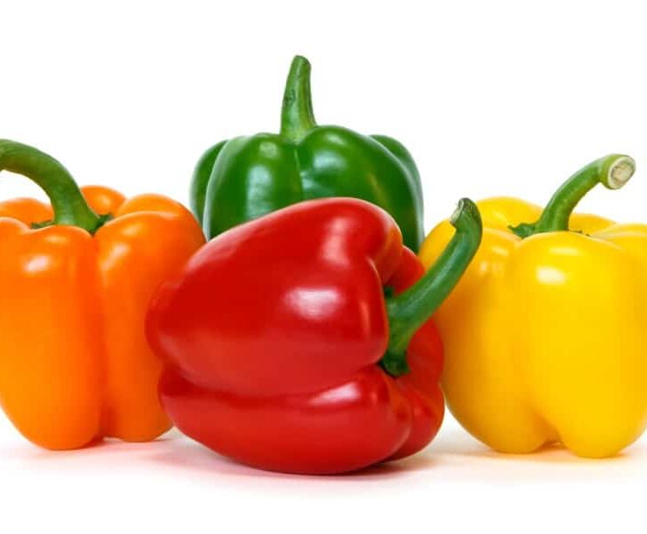 5 Helpful Ways to Tell if a Pepper Has Gone Bad The Spicy Trio