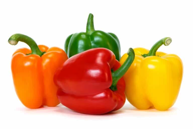 Best Substitutes for Bell and Chili Pepper (8 Options) The Spicy Trio