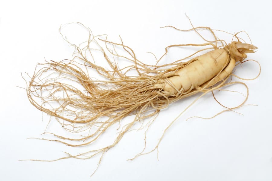 Photo of a medium sized pale looking ginseng root laying on a white backdrop