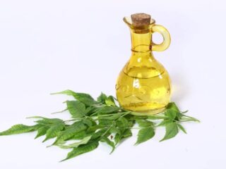 Photo of a glass bottle full of neem oil next to neem leaves against a white backdrop