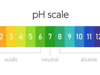 PH scale
