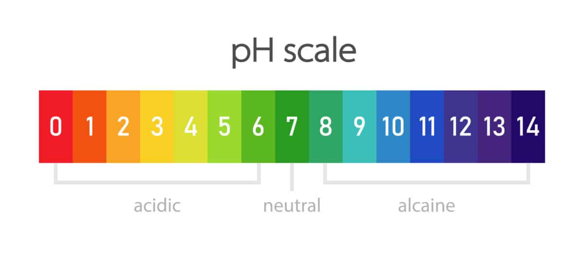How to Measure and Adjust pH Levels in Soil – With & Without a Kit ...