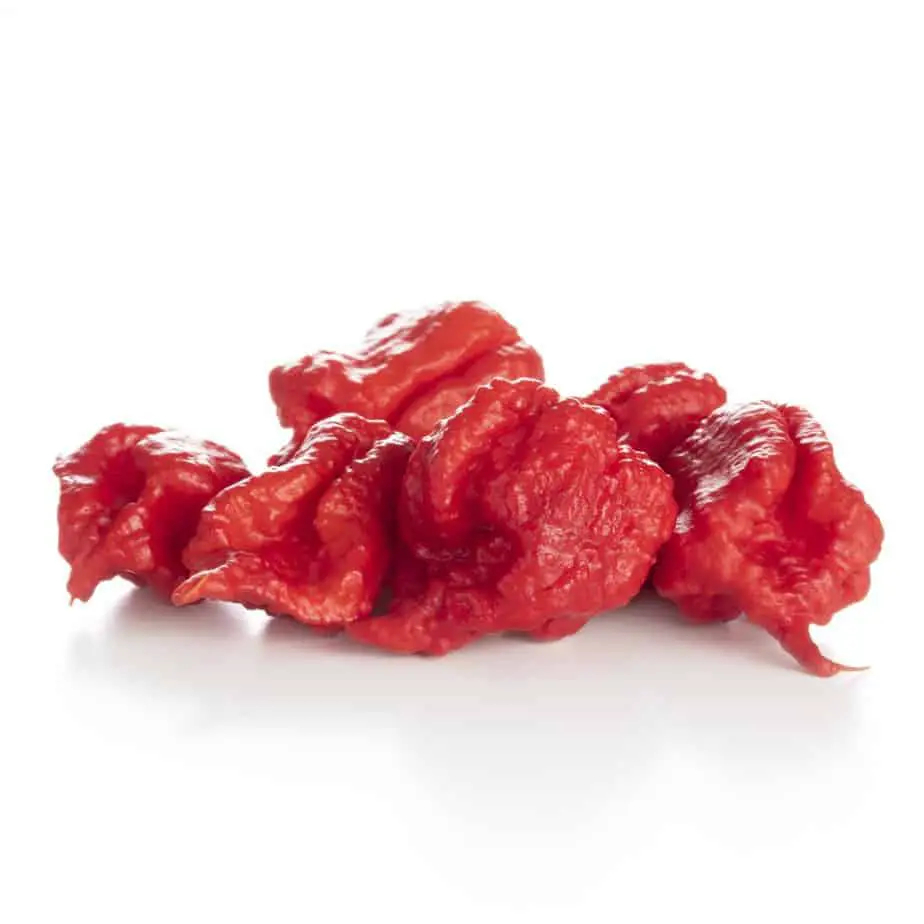 Close of photo of red Dragon's Breath peppers on white backdrop