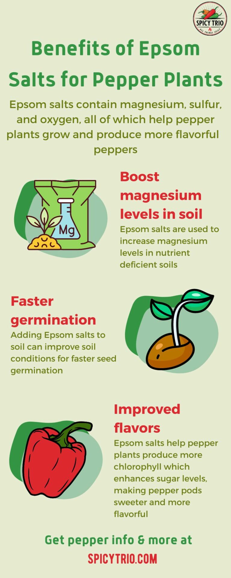 Epsom Salts and Pepper Plants Benefits, Amounts, and More The Spicy