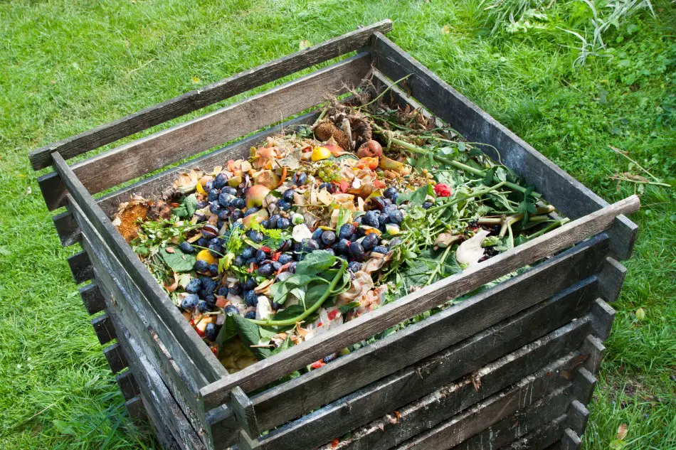 Photo of garden waste being composted in the back yard