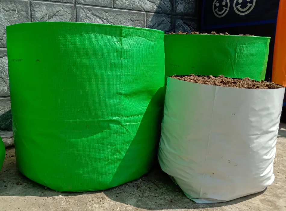 Two large green and one gray grow bag filled with potting soil sitting on the ground