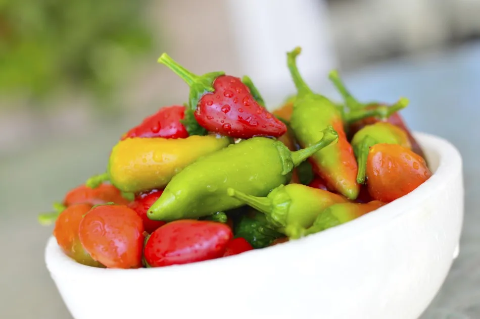 Photo of Fresno chili peppers in a white bowl ranging in color from green, yellow, orange, and red