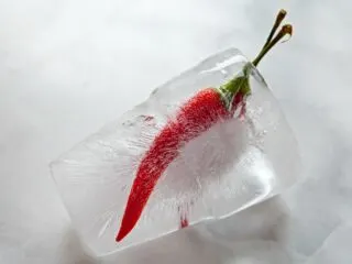 Red chili pepper frozen in a block of clear ice against a gray backdrop