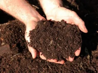 Photo of brown compost scooped into an individuals hands
