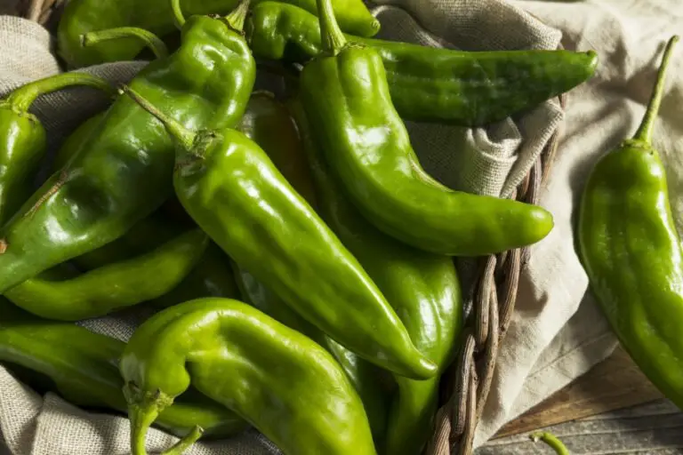 Hatch Chili Pepper Guide 9 Things to Know The Spicy Trio