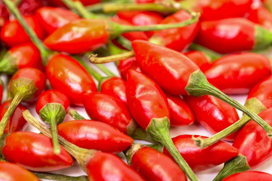 A close up shot of a heap of red piri piri peppers