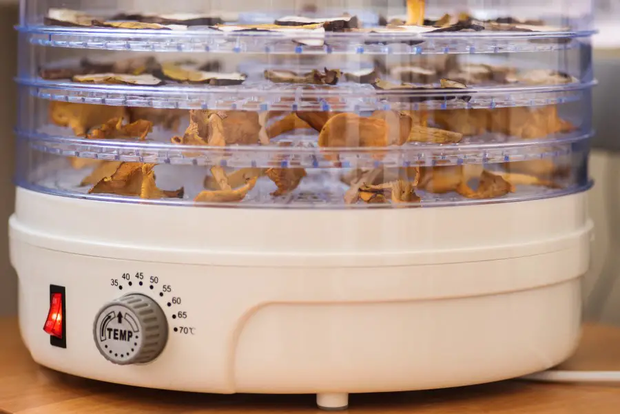 Photo of mushrooms four stacks high in a dehydrator