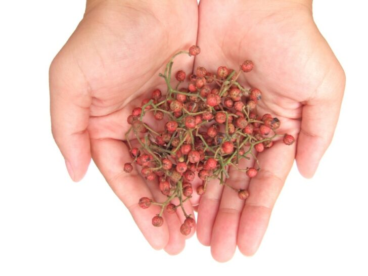 Sichuan Pepper Guide 15 Things to Know & How to Grow The Spicy Trio