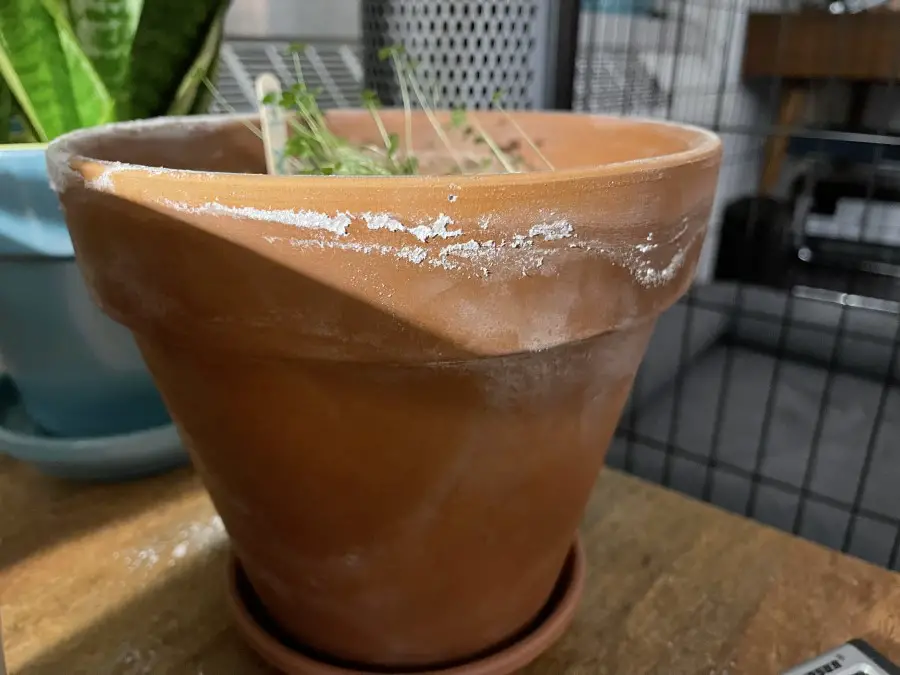 Close up of white Efflorescence on Terracotta pot