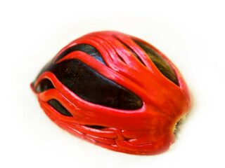 Photo of a single fresh black nutmeg with red veins set against a white background