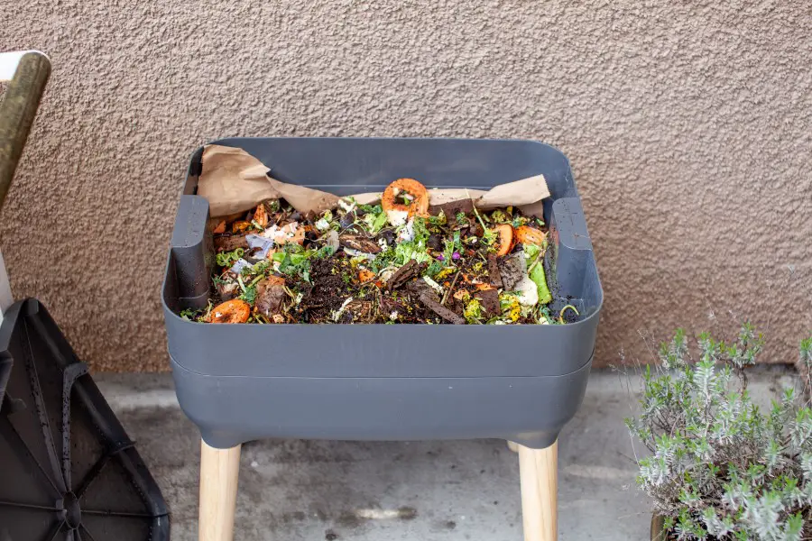 Photo of a grey plastic worm composter, with its lid open, filled with kitchen scraps