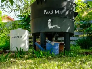 Photo of a green worm composter in the garden with a worm tea sprout