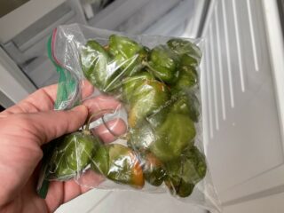 Frozen green Habanero peppers in a ziplock bag being removed from the freezer
