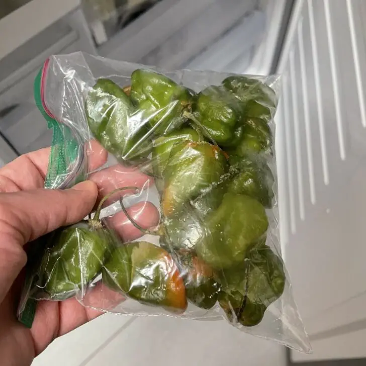 Does Freezing Chili Peppers Make Them Less Hot and Spicy? The Spicy Trio