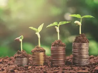 Plants growing on top of stacks of coins
