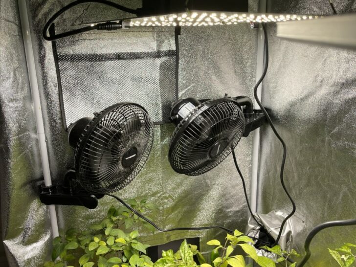 Grow Lights & Eye Damage 4 Important Things to Know The Spicy Trio