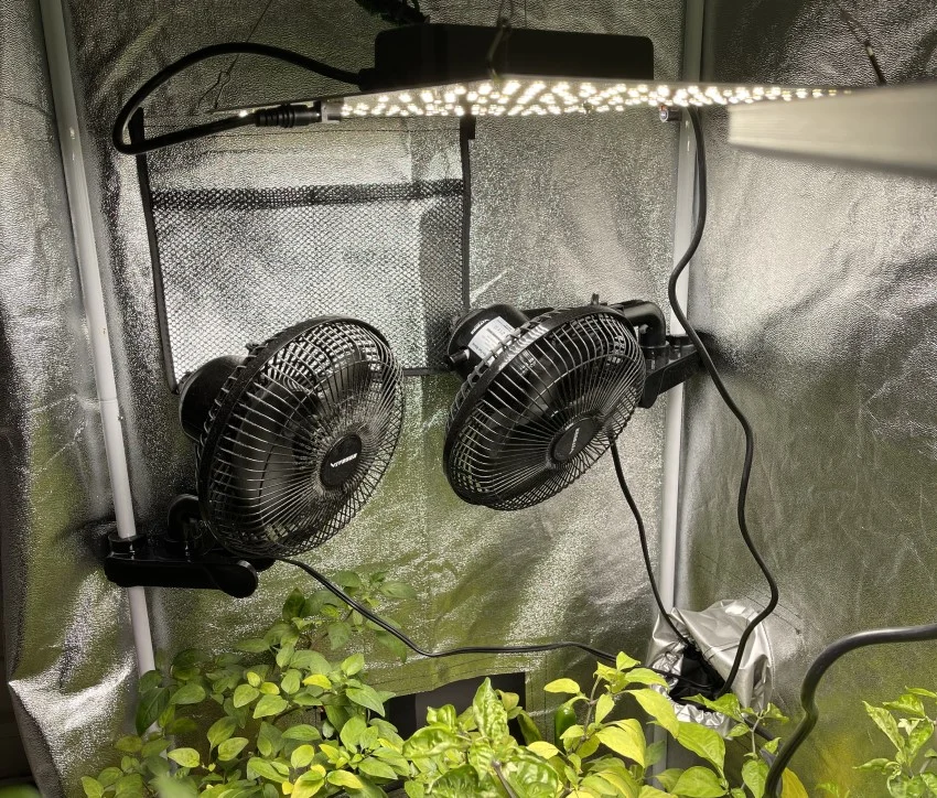 Two grow tent fans set side by side inside of a grow tent above some pepper plants.