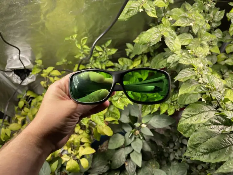Grow Lights & Eye Damage 4 Important Things to Know The Spicy Trio