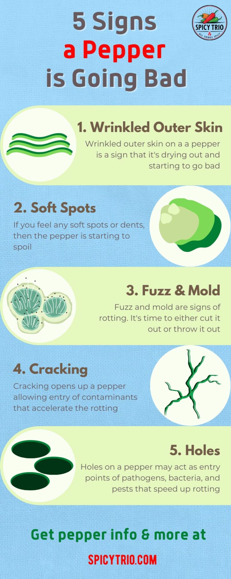 5 Helpful Ways to Tell if a Pepper Has Gone Bad – The Spicy Trio