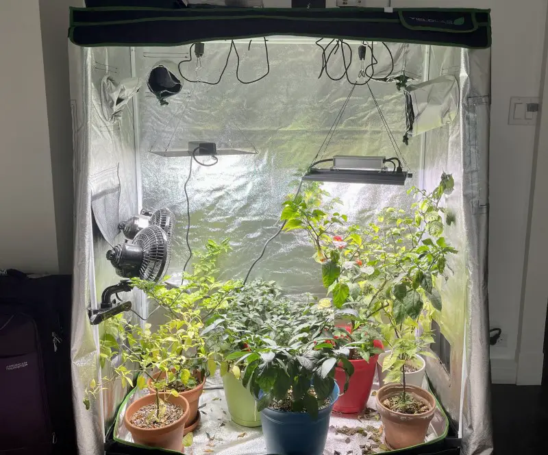 7 Ways to Keep a Grow Tent Cool - Learned from Experience