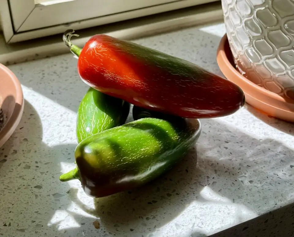 Are Your Jalapeño Pepper Not Hot? Top 3 Reasons Why The Spicy Trio
